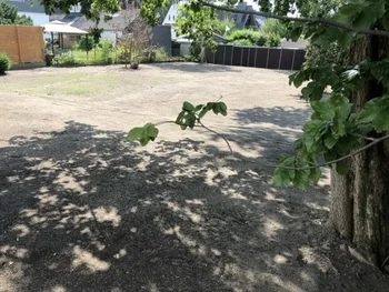 Baumschnitt Dienstleistung